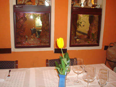 KOD KAPETANA Riblji restorani Beograd - Slika 9