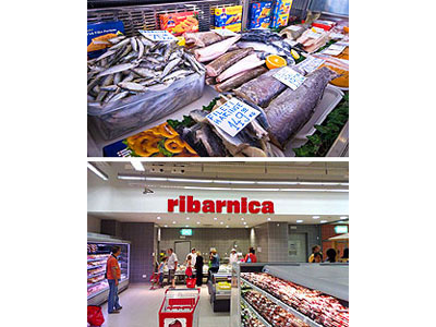 ANCORA NUOVA Retail and wholesale trade Belgrade - Photo 3
