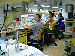 DENTAL PROTETIC LABARATORY MANDIC NENAD Dental tehnician labotories Belgrade - Photo 2