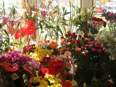 FLOWERS SHOP MARINA Flowers, flower shops Belgrade - Photo 2