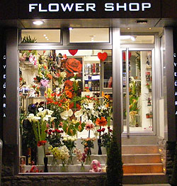FLOWERS SHOP MIG - GOCA Flowers, flower shops Belgrade - Photo 1