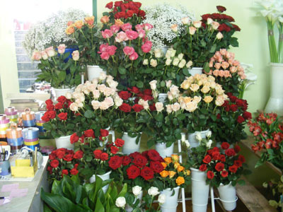 FLOWERS SHOP VRTIC Flowers, flower shops Belgrade - Photo 2