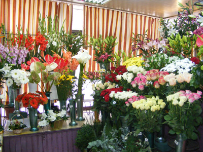 SVETLANA DACIJAR Flowers, flower shops Belgrade - Photo 2