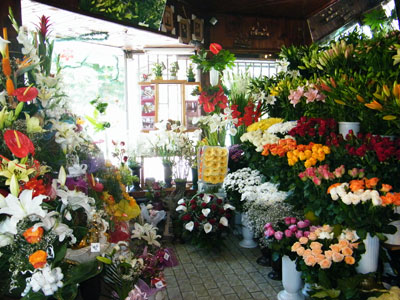 FLORIST GIFT SHOP SASA Flowers, flower shops Belgrade - Photo 3
