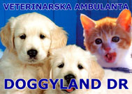 DOGGYLAND DR Veterinary clinics, veterinarians Belgrade