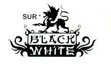 BLACK WHITE Kineska kuhinja Beograd