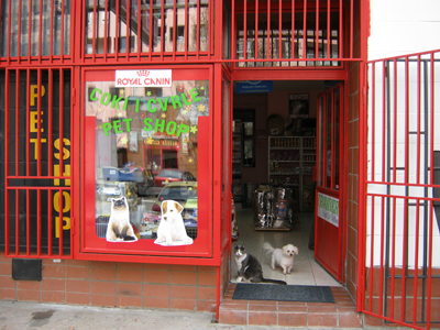 PET SHOP COKI & CVRLE Pets, pet shop Belgrade - Photo 1