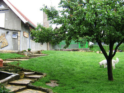 ŽIVOTINJSKO CARSTVO - HOTEL FOR DOGS AND CATS Dog kennel, boarding for dogs Belgrade - Photo 1