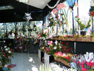 FLOWER SHOP SVE ZA LJUBAV Flowers, flower shops Belgrade - Photo 2