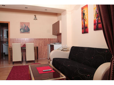 VILLA ELENA Accommodation, room renting Belgrade - Photo 4