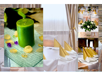 EXCLUSIVE HOLL Restaurants for weddings, celebrations Belgrade - Photo 5
