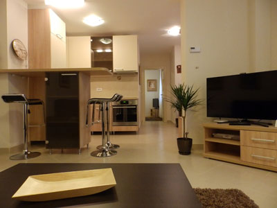 JEVTIC APARTMENTS Apartments Belgrade - Photo 4