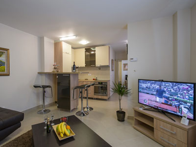 JEVTIC APARTMENTS Apartments Belgrade - Photo 7