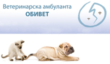 VETERINARY CLINIC OBIVET Veterinary clinics, veterinarians Belgrade