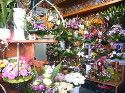 FLOWER SHOP VIDA Flowers, flower shops Belgrade - Photo 1