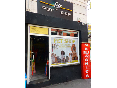 HILL PET SHOP Pets, pet shop Belgrade - Photo 1
