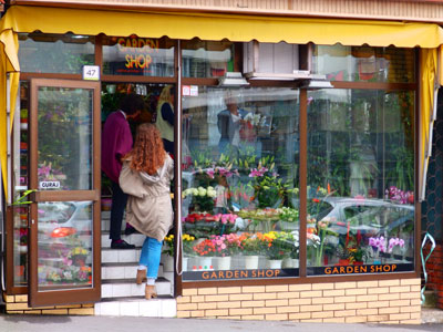 FLOWER SHOP RAJSKI CVET Flowers, flower shops Belgrade - Photo 1