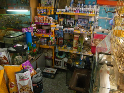 PET SHOP LAVALEX Aquarium shops Belgrade - Photo 2