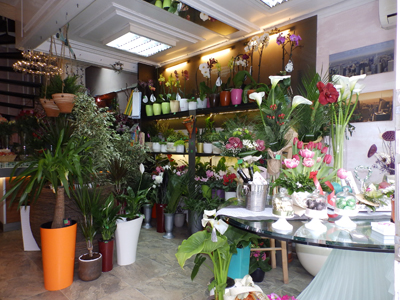 MULTIFLORA Flowers, flower shops Belgrade - Photo 1