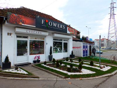 CVEĆARA FLOWERS Cveće, cvećare Beograd - Slika 1