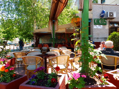 CAFFE KAKTUS Bars and night-clubs Belgrade - Photo 1