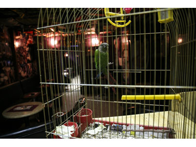 BEER BAR EX MARSHALL Bars and night-clubs Belgrade - Photo 10