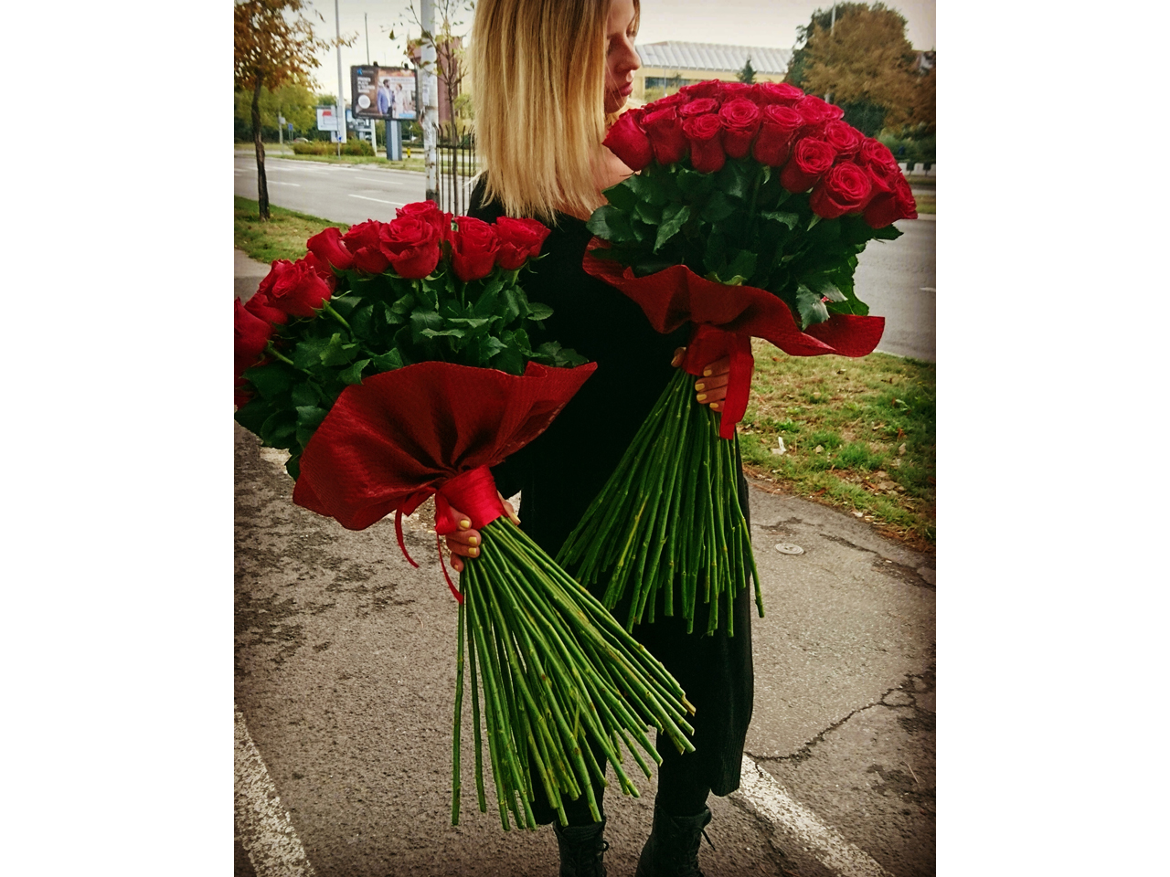 FLOWER SHOP PROLECNI CVET Flowers, flower shops Belgrade - Photo 1