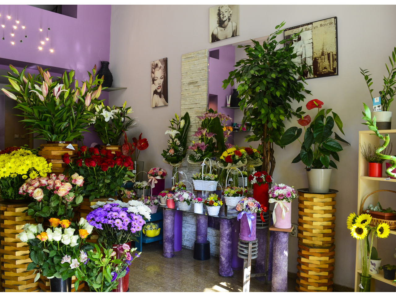 HOLLYWOOD FLOWER SHOP Flowers, flower shops Belgrade - Photo 1