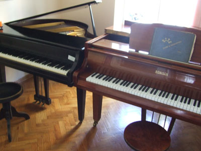 Slika 4 - SALON KLAVIRA PIANOFORTE Muzički instrumenti Beograd