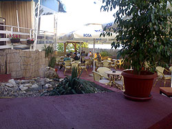 CAFE - RESTAURANT WITH TERRACE BED & BREAKFAST DANUBE MM Accommodation, room renting Belgrade - Photo 3