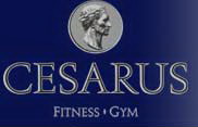 CESARUS FITNESS - Тренажерные залы, фитнес Beograd - Фото logo 