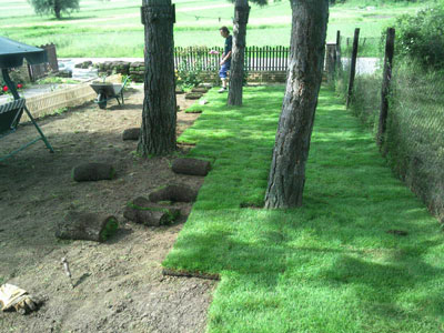 GREENING - EVER GREEN Seed plots, garden decoration Belgrade - Photo 5