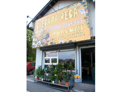 CVEARA PECA Flowers, flower shops Beograd