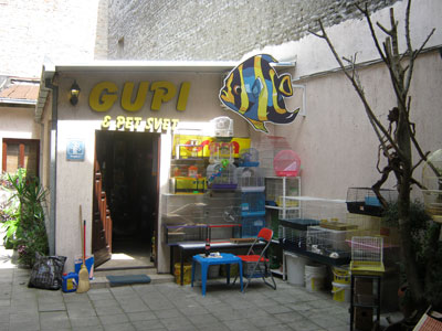 GUPI & PET SVET PET SHOP Kućni ljubimci, pet shop Beograd
