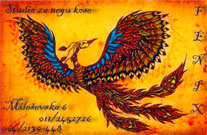 STUDIO FENIX NK - Frizerski saloni Beograd - Slika logo 