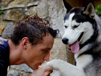FASHION GROOM Pet salon, dog grooming Belgrade - Photo 2