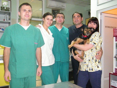 VETERINARSKA ORDINACIJA VET PLANET Veterinarske ordinacije, veterinari Beograd - Slika 2