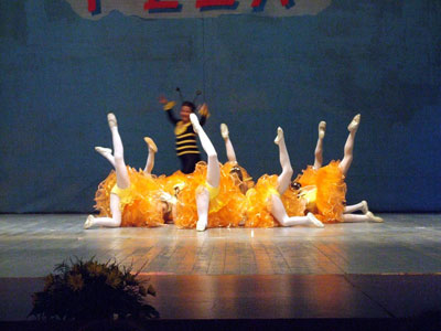 BALLET STUDIO FLEX Dancing schools Belgrade - Photo 7