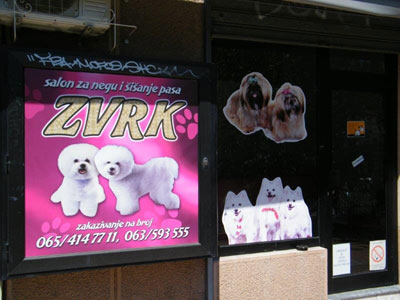 SALON ZA PSE ZVRK Pet salon, dog grooming Belgrade - Photo 1