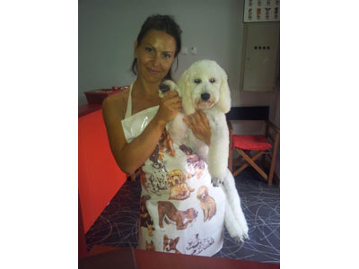 SALON ZA PSE ZVRK Pet salon, dog grooming Belgrade - Photo 4