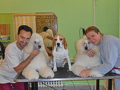 BEAUTY CARE AND DOG HAIRCUT MISS LILLY Pet salon, dog grooming Belgrade - Photo 2