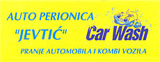 CARWASH AND CARPET SERVICE JEVTIC