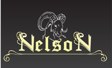 TAVERN BAR NELSON - Saloons Beograd - Photo logo 