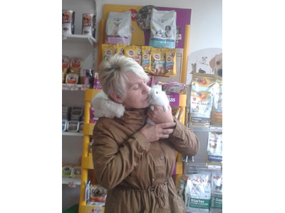 PET SHOP LOVE TO LOVE Pets, pet shop Belgrade - Photo 9