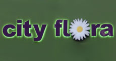 FLOWER SHOP CITY FLORA - Flowers, flower shops Beograd - Photo logo 