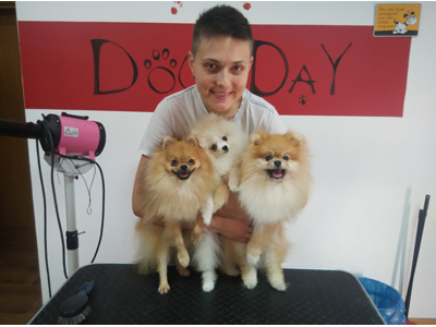 DOG DAY DOGS HAIRCUT SALON Pet salon, dog grooming Belgrade - Photo 12