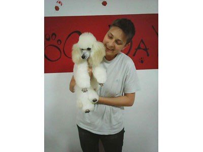 DOG DAY DOGS HAIRCUT SALON Pet salon, dog grooming Belgrade - Photo 7