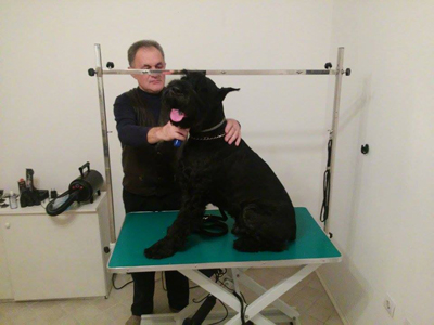 LOLA CAT AND DOG GROOMING SALON Pet salon, dog grooming Belgrade - Photo 6