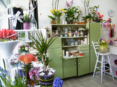CVETNI POGON Flowers, flower shops Belgrade - Photo 2