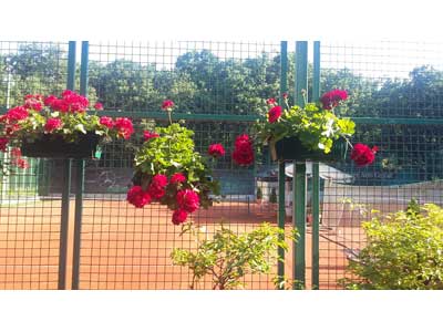 PRIVILEGE TENNIS CLUB Tennis courts, tennis schools, tennis clubs Belgrade - Photo 4